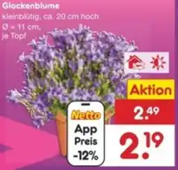 Netto Marken-Discount Glockenblume Angebot