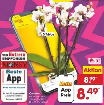 Netto Marken-Discount Orchidee Angebot