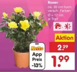 Netto Marken-Discount Rosen Angebot