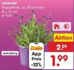 Netto Marken-Discount Lavendel Angebot