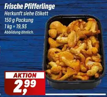 Simmel Frische Pfifferlinge Angebot
