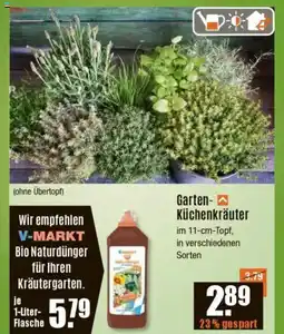 V Baumarkt Garten- Küchenkräuter Angebot