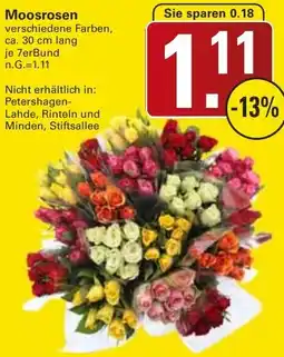 WEZ Moosrosen Angebot
