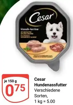 Globus Cesar Hundenassfutter Angebot