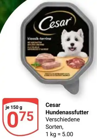 Globus Cesar Hundenassfutter Angebot