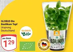 Globus GLOBUS Bio Basilikum Topf Angebot