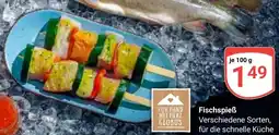 Globus Fischspieẞ Angebot