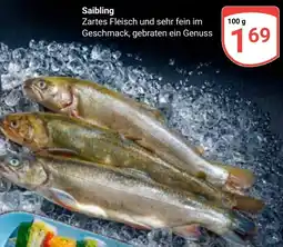Globus Saibling Angebot