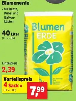Thomas Philipps Blumenerde Angebot