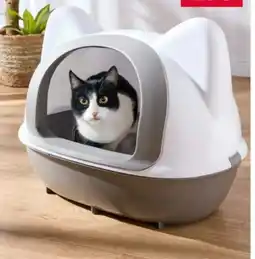 Woolworth Katzentoilette Angebot