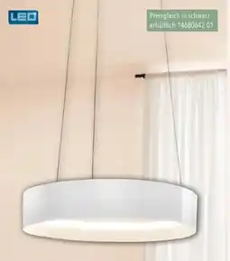Schaffrath Musterring LED-Pendelleuchte Angebot