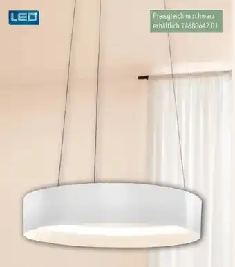 Schaffrath Musterring LED-Pendelleuchte Angebot