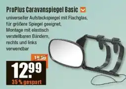 V Baumarkt ProPlus Caravanspiegel Basic Angebot