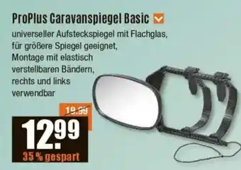 V Baumarkt ProPlus Caravanspiegel Basic Angebot