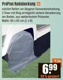 V Baumarkt ProPlus Radabeckung Angebot