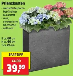 Thomas Philipps Pflanzkasten Angebot