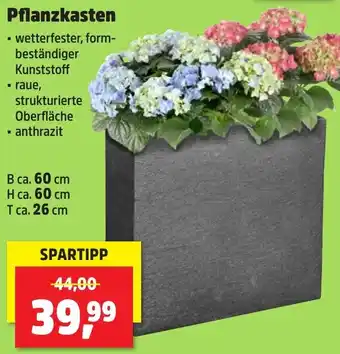 Thomas Philipps Pflanzkasten Angebot