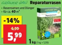 Thomas Philipps GRÜNER JAN Reparaturrasen Angebot