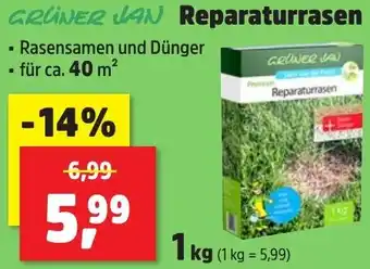 Thomas Philipps GRÜNER JAN Reparaturrasen Angebot