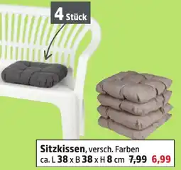 Thomas Philipps Sitzkissen Angebot