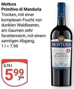 Globus Mottura Primitivo di Manduria Angebot