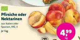 Biomarkt Pfirsiche oder Nektarinen Angebot