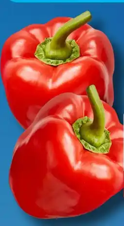 Aldi Süd Paprika Rot Angebot