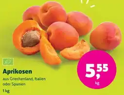 Biomarkt Aprikosen Angebot