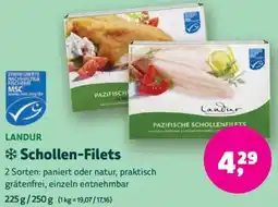 Biomarkt LANDUR Schollen-Filets Angebot