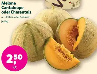 Biomarkt Melone Cantaloupe oder Charentais Angebot