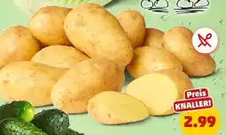 PENNY Marktliebe Speisekartoffeln Angebot
