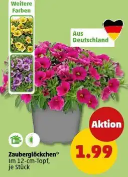 PENNY Zauberglöckchen Angebot