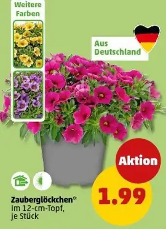 PENNY Zauberglöckchen Angebot