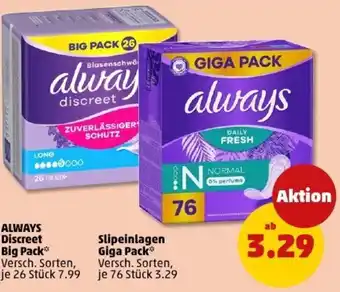 PENNY Slipeinlagen Giga Pack Angebot