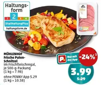 PENNY MÜHLENHOF Frische Puten- Schnitzel Angebot