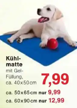 Jawoll Kühl- matte Angebot