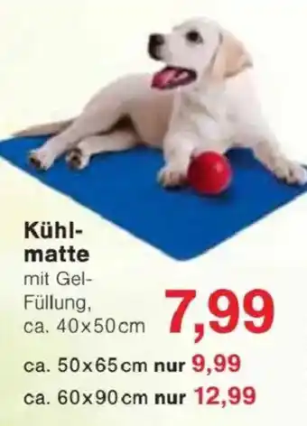 Jawoll Kühl- matte Angebot