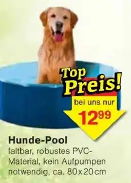 Jawoll Hunde-Pool Angebot