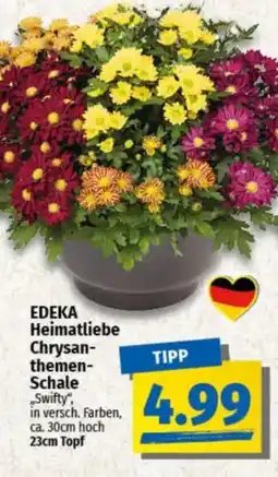 NP Discount EDEKA Heimatliebe Chrysanthemen- Schale „Swifty", Angebot