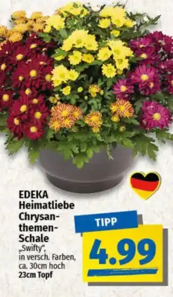 NP Discount EDEKA Heimatliebe Chrysanthemen- Schale „Swifty", Angebot