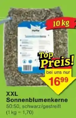 Jawoll XXL Sonnenblumenkerne Angebot