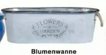 Jawoll Blumenwanne Angebot