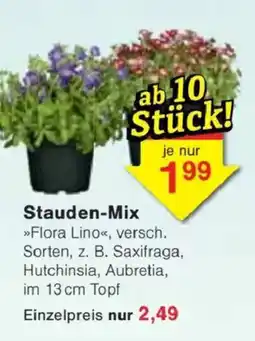 Jawoll Stauden-Mix Angebot