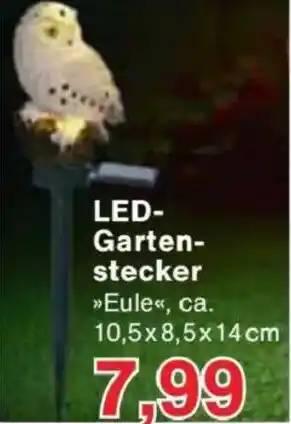 Jawoll LED- Garten- stecker Angebot