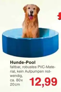 Jawoll Hunde-Pool Angebot