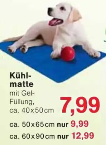 Jawoll Kühl- matte Angebot