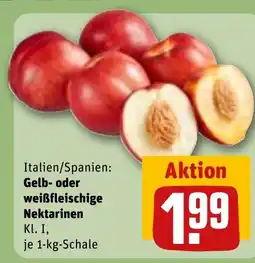 REWE Gelb- oder weißfleischige Nektarinen Angebot