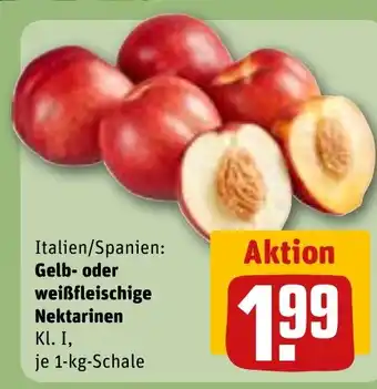 REWE Gelb- oder weißfleischige Nektarinen Angebot