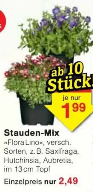 Jawoll Stauden-Mix Angebot