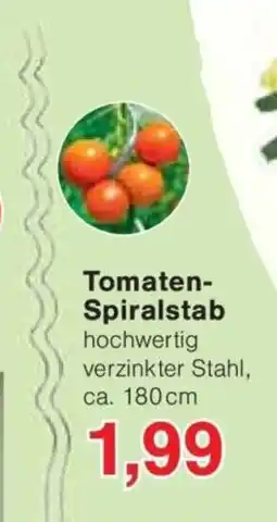 Jawoll Tomaten- Spiralstab Angebot